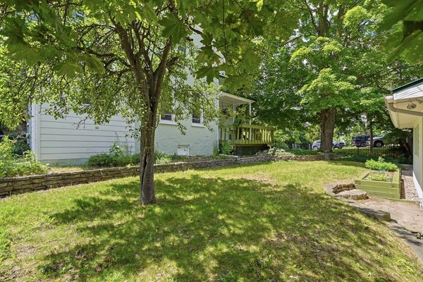 Backyard beneath the mature maple canopy
